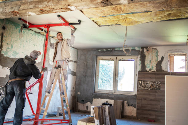 Best Insulation for New Construction  in Dickinson, ND