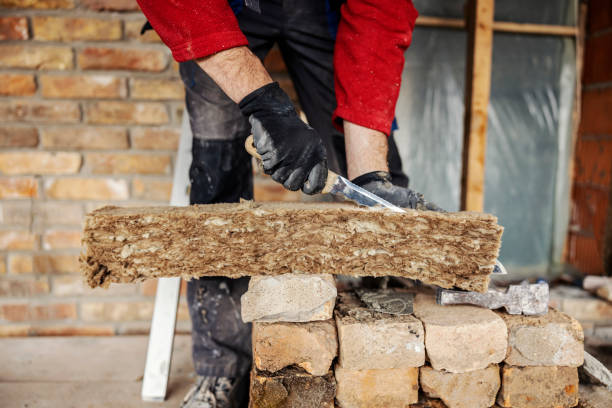 Best Professional Insulation Contractor  in Dickinson, ND